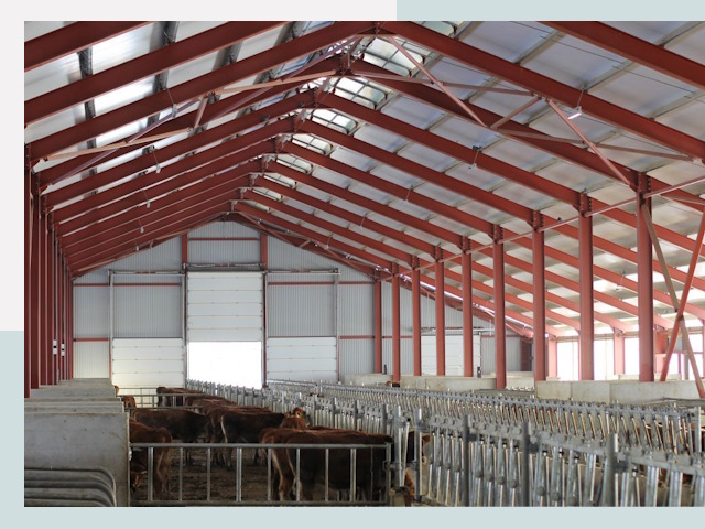 Строительство коровников в Домодедово