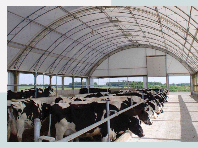 Тентовые коровники в Домодедово